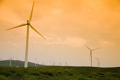 黑暗幻想策略游戏《十字章塔》上线Steam页面 支持简中